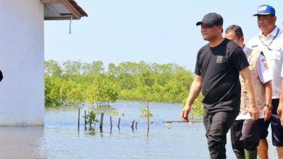 Pemprov Jateng Mulai Program Mageri Segoro untuk Pemulihan Ekosistem Pesisir