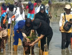Dipusatkan di Pesisir Brebes, Gerakan Mageri Segoro Gubernur Luthfi Targetkan Tanam 1,5 Juta Mangrove