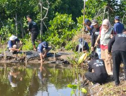 1.000 Bibit Mangrove dan Api-api Ditanam Atasi Abrasi di Pantai Pulo Komodo