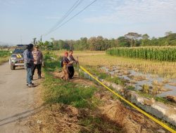 Satu Tewas, Tawuran Remaja di Rungkang Brebes