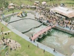 Senin Depan, Ruwat Bumi Rembul di Wisata Lembah Rembulan, Sembelih Kebo Bule