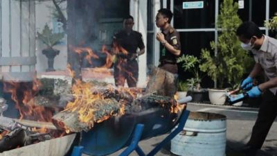 Kejaksaan Negeri Pemalang Musnahkan Barang Bukti Kejahatan