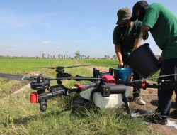Petani di Jawa Tengah Beralih ke Alat Pertanian Canggih
