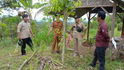 Tambakserang Tanam Sacha Inchi untuk Ketahanan Pangan dan Ekonomi Warga