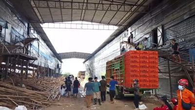 Kandang Ayam Ambruk, Seorang Pekerja Masih Dalam Pencarian