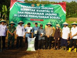 Polres Tegal Gandeng Poktan dan Perhutani Tanam Jagung Aerotik