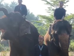 Meriahkan HUT RI, Berbagai Satwa Ikuti Upacara Bendera 