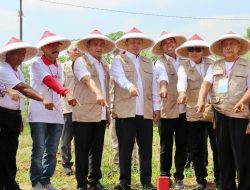 Lahan Pertanian Aman, Menteri ATR Apresiasi Upaya Jawa Tengah