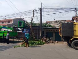 DLH Kota Tegal Rutin Lakukan Perambasan Pohon Jelang Musim Hujan