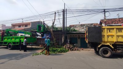 DLH Kota Tegal Rutin Lakukan Perambasan Pohon Jelang Musim Hujan