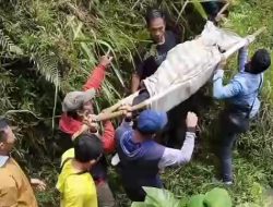 Motor Rem Blong di Jalur Wisata Kaligua Brebes, Pelajar SMK Tewas