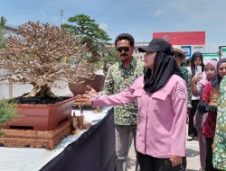 363 Bonsai Semarakan Ajang Brebes Mruning, Ini Harapan Bupati Paramitha