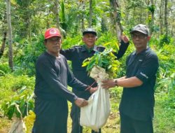 Pengadaan Bibit Rp 1,8 Miliar di DLH Brebes Disorot, Pampera: Jangan Hanya Seremoni!