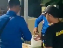 Menegangkan! Petugas Damkar Kabupaten Tegal Berhasil Lumpuhkan Sarang Tawon Vespa, Ini Caranya