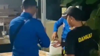 Menegangkan! Petugas Damkar Kabupaten Tegal Berhasil Lumpuhkan Sarang Tawon Vespa, Ini Caranya