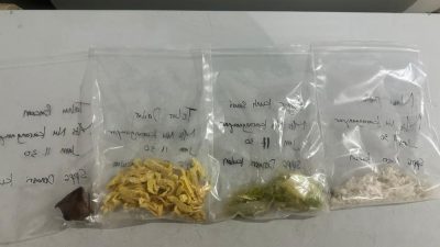 Tidak Layak Konsumsi, Menu MBG Dikembalikan ke Penyedia SPPG