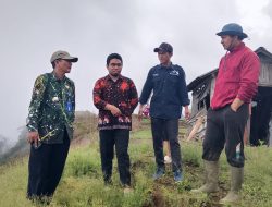 Bukit Sabana di Jalur Pendakian Gunung Slamet Via Sawangan Tegal, Dikembangkan untuk Peningkatan Ekonomi Warga
