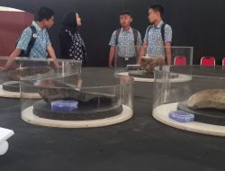 Pameran Wanara Seba 2025, Tingkatkan Kebanggaan Masyarakat Terhadap Warisan Budaya Daerah