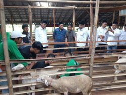 Balai Ternak “Lestari Makmur” Upaya Nyata Pengentasan Kemiskinan di Pemalang