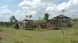 Tanpa Tiket Masuk, Inilah Tempat Edukasi Wisata di Tegal