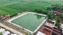 Pengairan Jateng Tekan Rob dan Amankan Irigasi