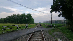 Menikmati Harmoni Kontras di Balapulang Wetan: Antara Gemuruh Kereta dan Suara Tonggeret