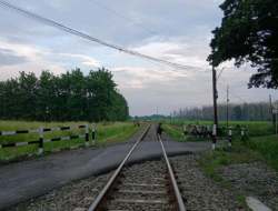 Menikmati Harmoni Kontras di Balapulang Wetan: Antara Gemuruh Kereta dan Suara Tonggeret