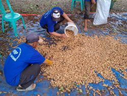 Dukung Kemandirian Pangan, Lapas Batang Panen Kacang Tanah