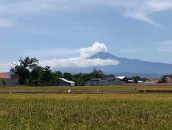 Info Gunungapi di Indonesia Hari Ini, Gunung Slamet Masih Berstatus Waspada
