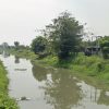 Asal Usul Sungai Sigeleng Brebes, Berawal dari Pembuangan Air Hingga Tradisi Syukuran