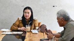 Soal Pemekaran Brebes Selatan, Ini Komentar Bupati Paramitha