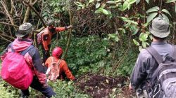 Pencarian Pendaki Hilang di Gunung Slamet Dihentikan