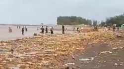 Pantai Larangan Tegal Dipenuhi Kayu dan Pipa, Diduga Dampak Banjir Bandang Guci