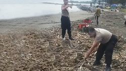 Pesisir Pantai Tegal, Dipenuhi Sampah Kayu