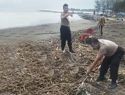 Pesisir Pantai Tegal, Dipenuhi Sampah Kayu