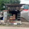 Inilah Burung Hias yang Paling Diminati di Kota Tegal