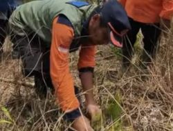 Imbas Banjir di Sungai Gung Guci Tegal, Relawan Gencar Tanam Pohon di Lereng Gunung Slamet