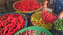 Harga Cabai Rawit Merah di Tegal Meroket, Sentuh Rp 55 Ribu per Kilogram