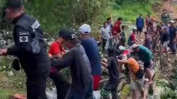 Gunakan Kayu Pinus Warga Desa Wisnu dan Majakerja Bangun Jembatan Darurat