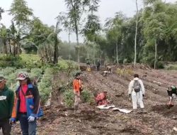 Petani Desa Batursari, Benahi Lahan Pertanian Pasca Banjir Bandang